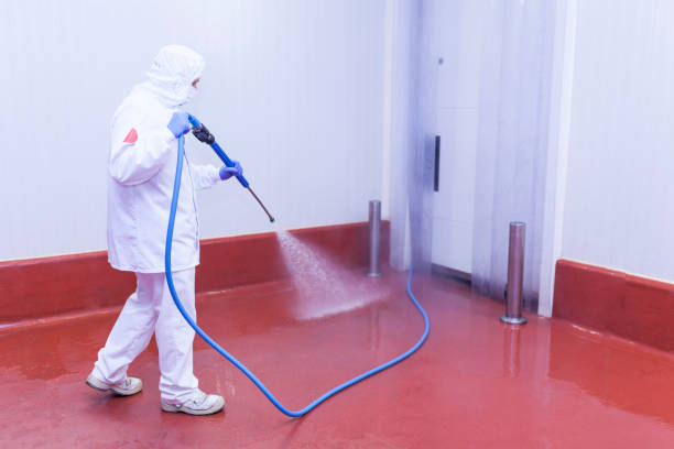  Callahan, FL Pressure Washing Pros